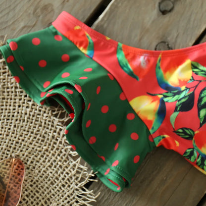 Two-Pieces Women Floral 2025 Push-Up Padded Bra Ruffles Bandage Bikini Set Swimsuit Swimwear Bathing Suit Beachwear Biquini