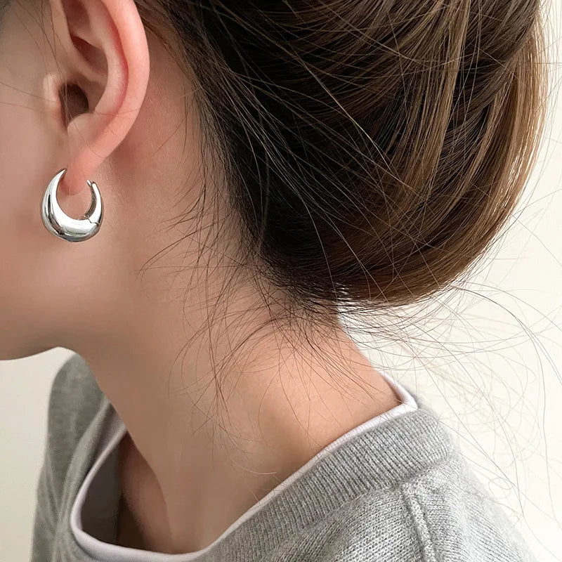 Stainless Steel Smooth Metal Chunky Hoop Earrings For Women Girls Fashion Round Circle Hoops Statement Earrings Punk Jewelry